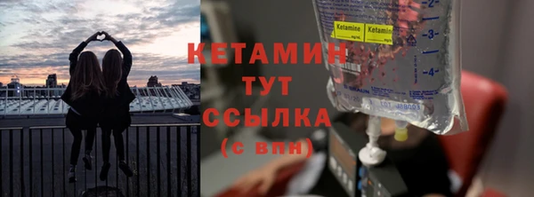 крисы Каменка