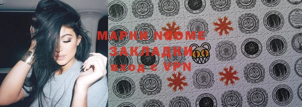 крисы Каменка