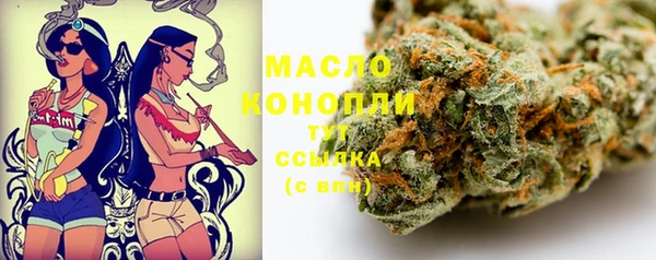 крисы Каменка