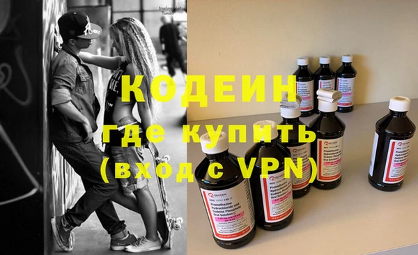 крисы Каменка