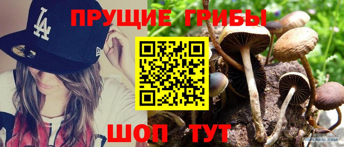 Шумерля  магазин продажи   Вход с VPN  Галлюциногенные грибы Psilocybine cubensis 
