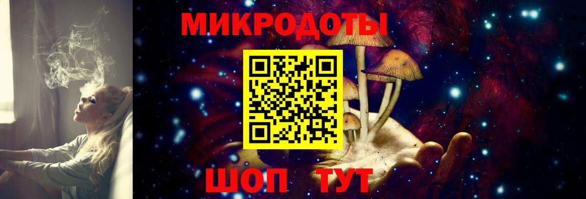 Галлюциногенные грибы мухоморы Шумерля